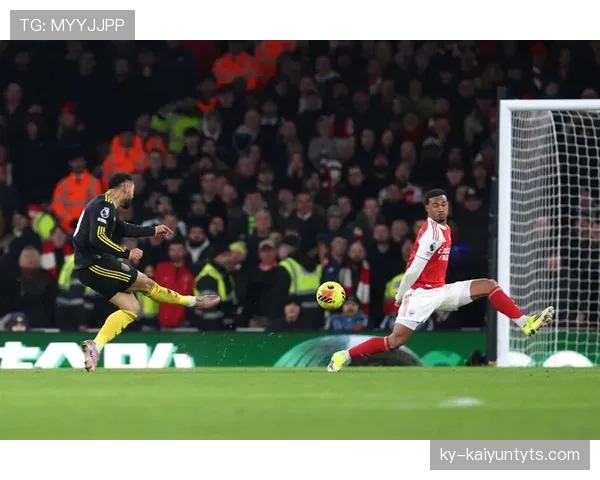 B费与厄德高：体系核心角色的差异化机制解析